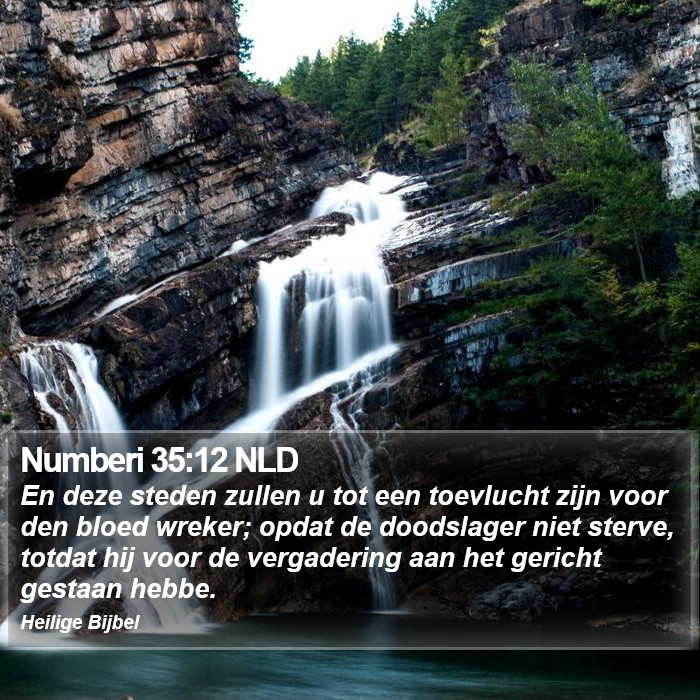 Numberi 35:12 NLD Bible Study