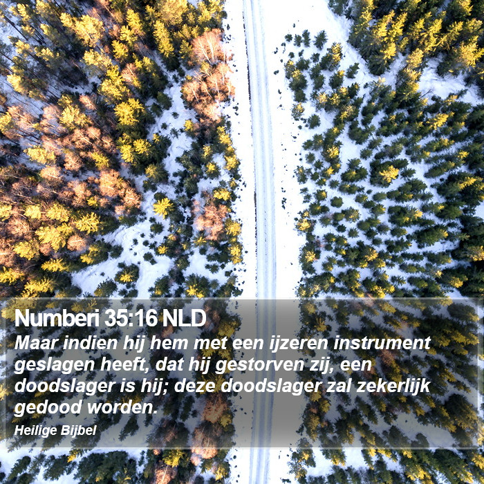 Numberi 35:16 NLD Bible Study
