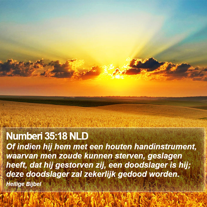 Numberi 35:18 NLD Bible Study
