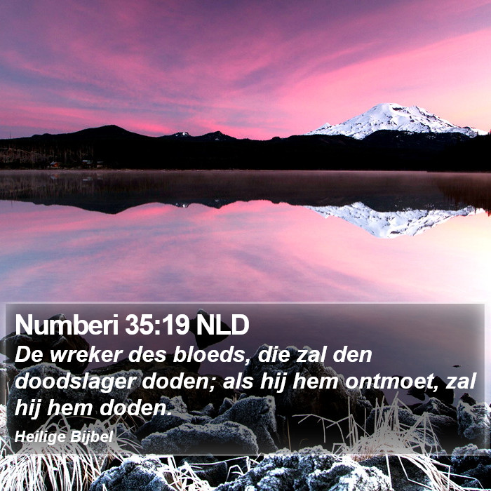 Numberi 35:19 NLD Bible Study