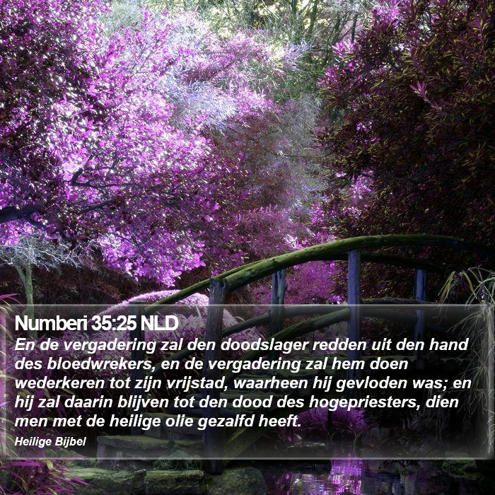 Numberi 35:25 NLD Bible Study