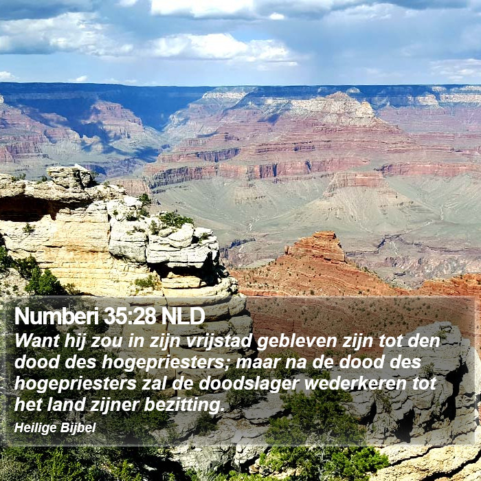 Numberi 35:28 NLD Bible Study