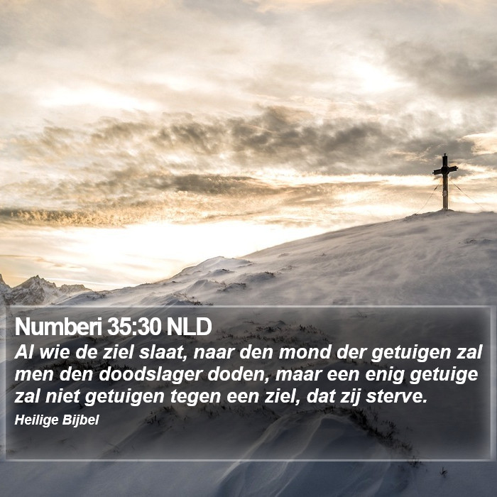 Numberi 35:30 NLD Bible Study