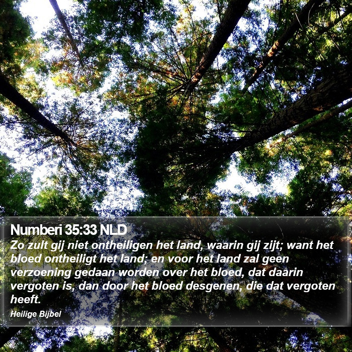 Numberi 35:33 NLD Bible Study