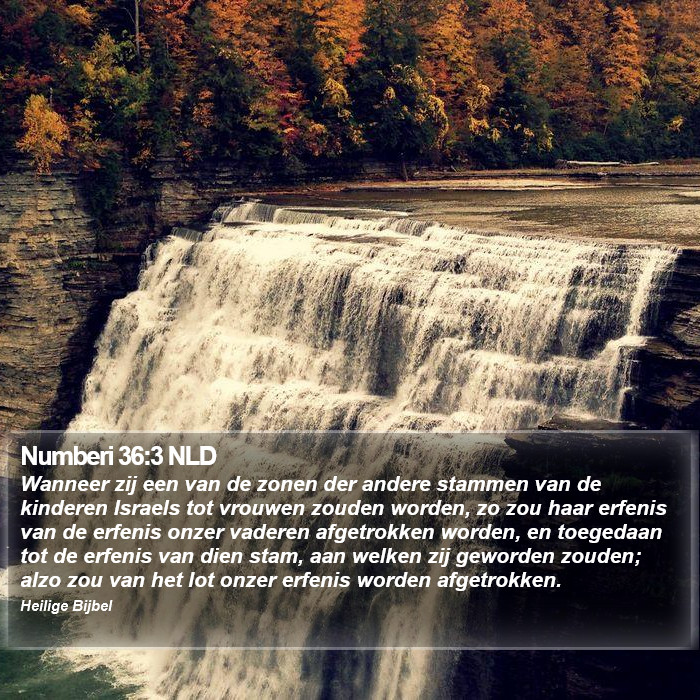 Numberi 36:3 NLD Bible Study