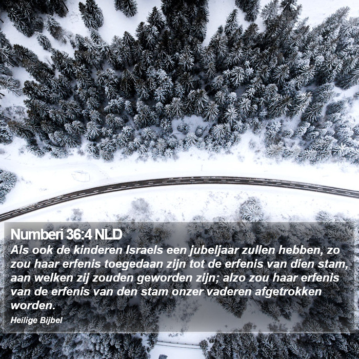 Numberi 36:4 NLD Bible Study