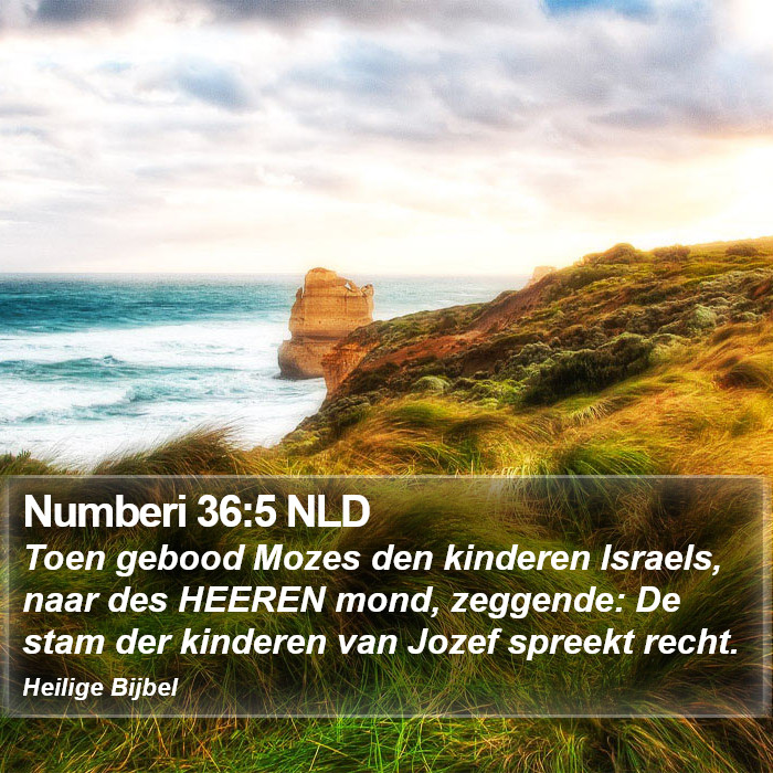 Numberi 36:5 NLD Bible Study