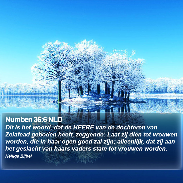 Numberi 36:6 NLD Bible Study