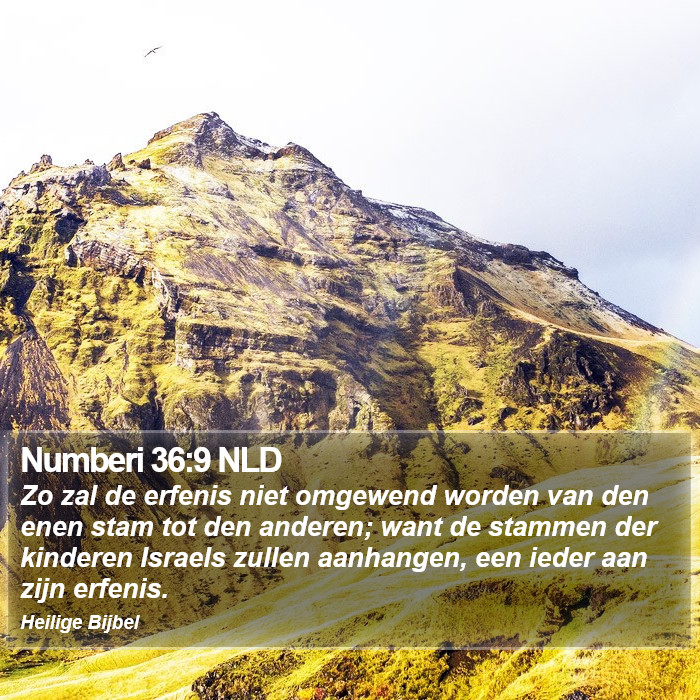 Numberi 36:9 NLD Bible Study