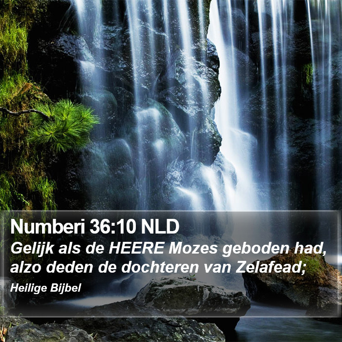 Numberi 36:10 NLD Bible Study