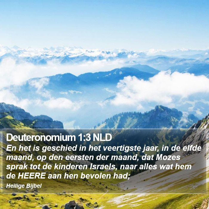 Deuteronomium 1:3 NLD Bible Study