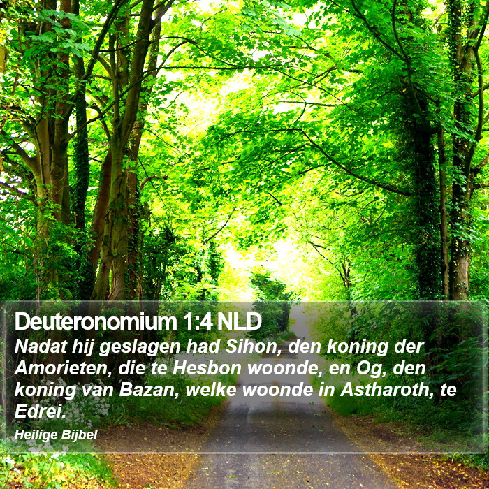 Deuteronomium 1:4 NLD Bible Study