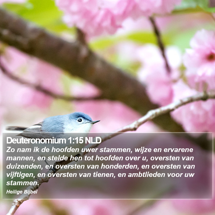 Deuteronomium 1:15 NLD Bible Study