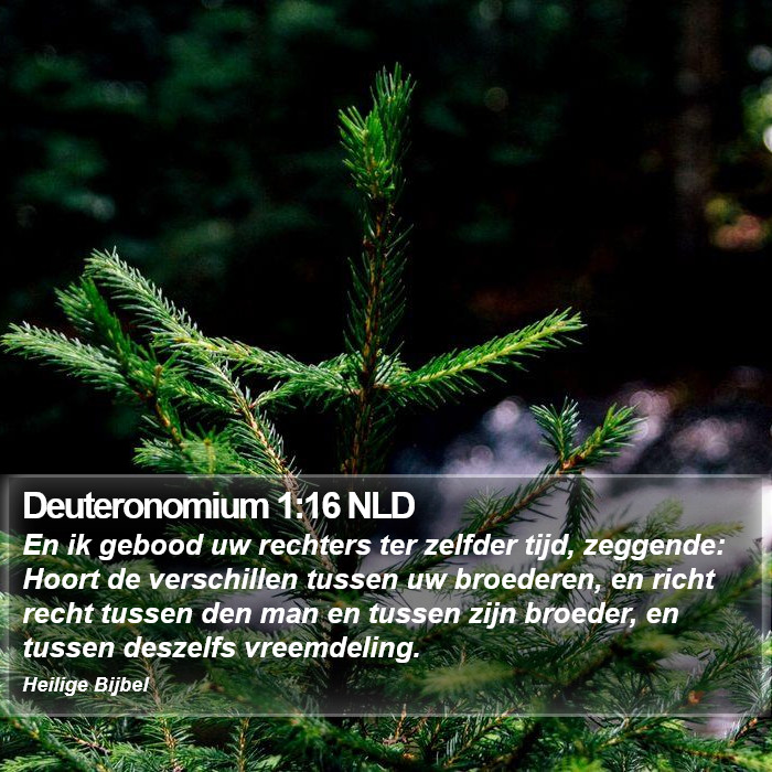 Deuteronomium 1:16 NLD Bible Study