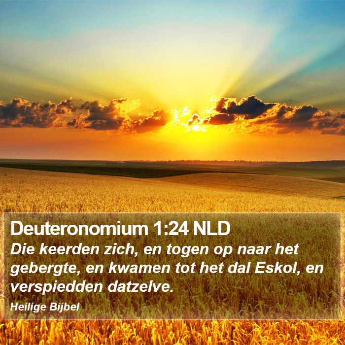 Deuteronomium 1:24 NLD Bible Study