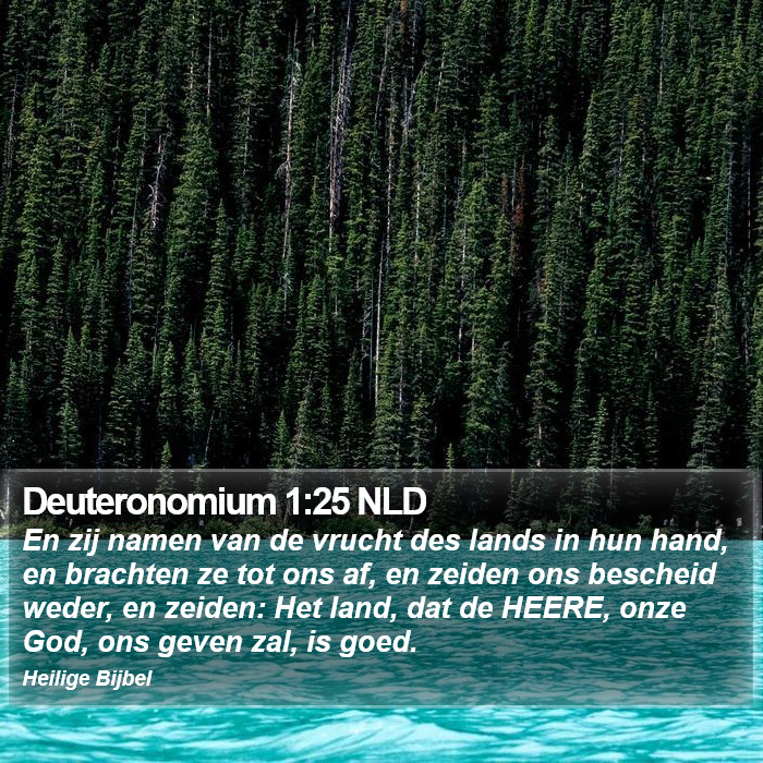 Deuteronomium 1:25 NLD Bible Study