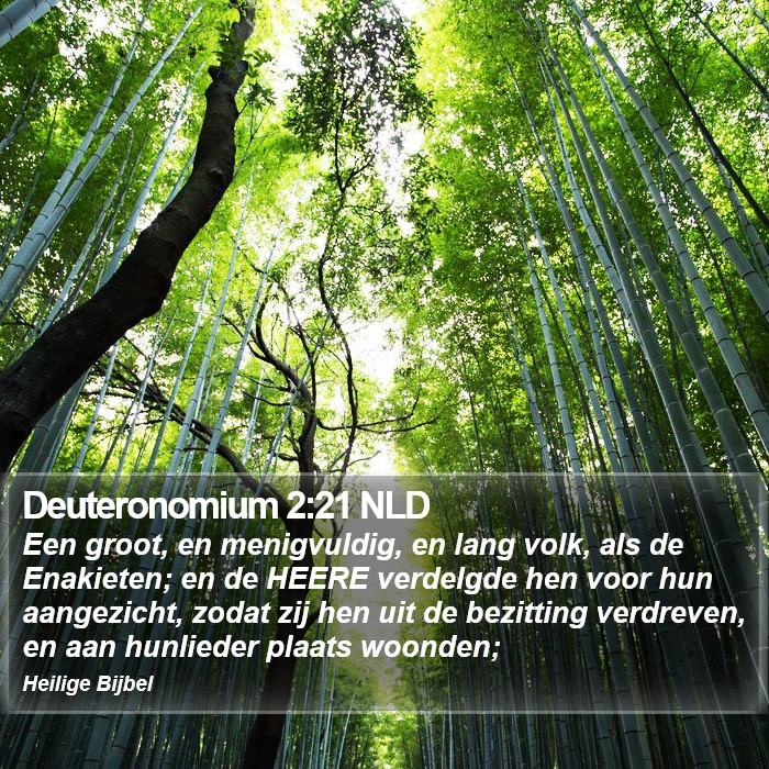 Deuteronomium 2:21 NLD Bible Study