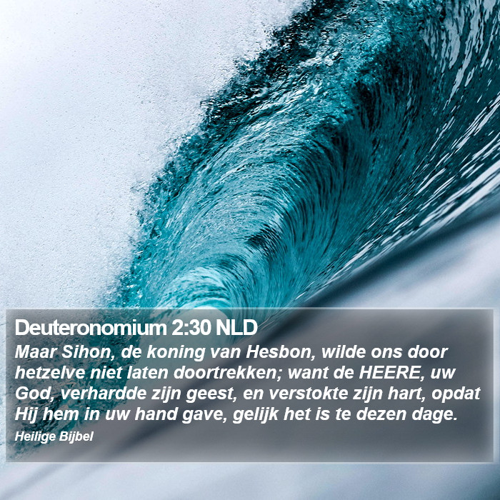 Deuteronomium 2:30 NLD Bible Study