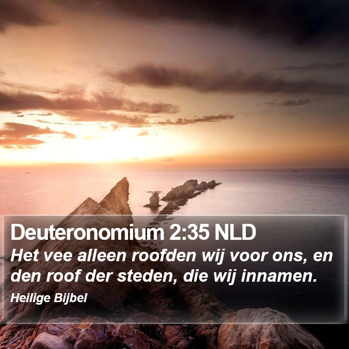 Deuteronomium 2:35 NLD Bible Study