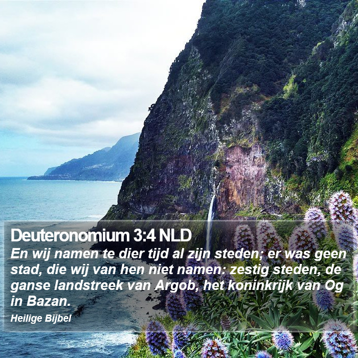 Deuteronomium 3:4 NLD Bible Study