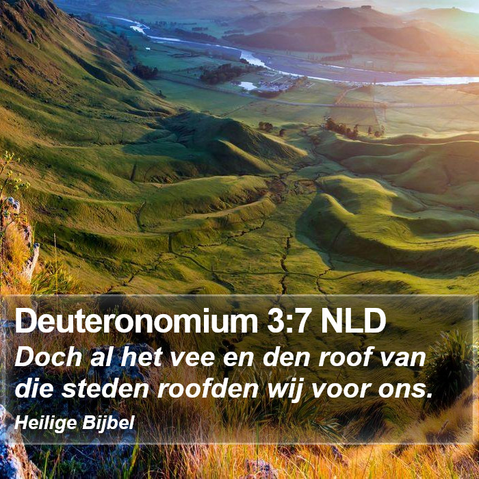 Deuteronomium 3:7 NLD Bible Study