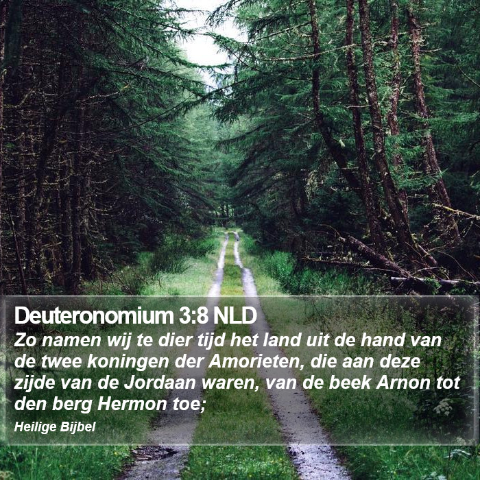 Deuteronomium 3:8 NLD Bible Study