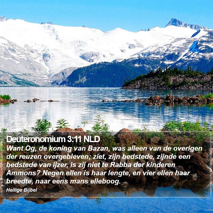 Deuteronomium 3:11 NLD Bible Study