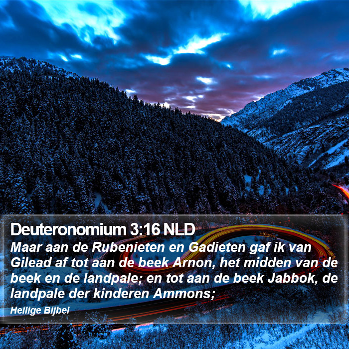 Deuteronomium 3:16 NLD Bible Study