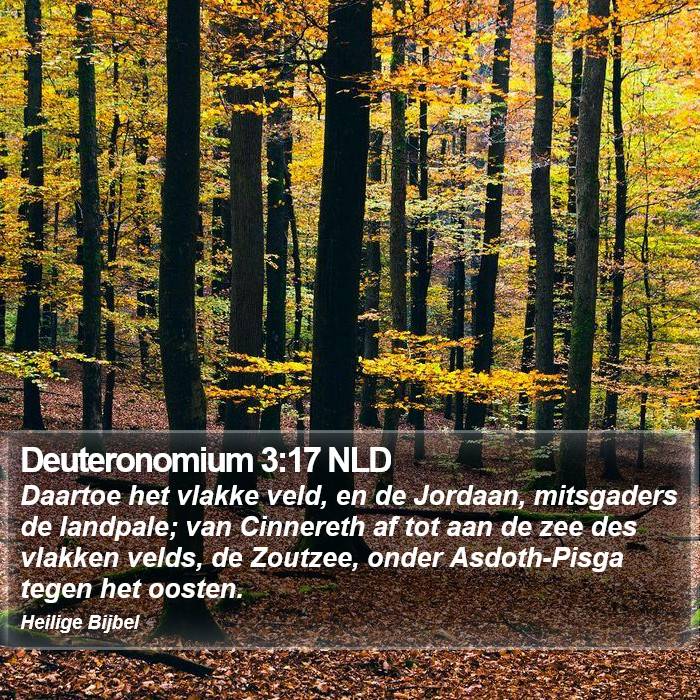 Deuteronomium 3:17 NLD Bible Study