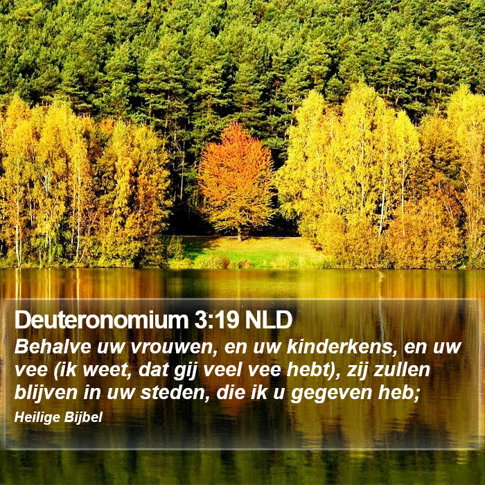 Deuteronomium 3:19 NLD Bible Study