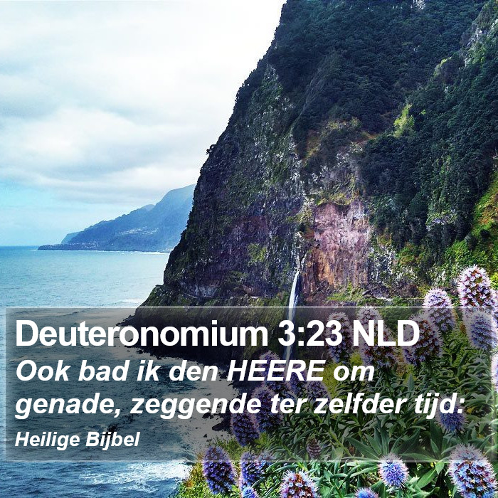 Deuteronomium 3:23 NLD Bible Study