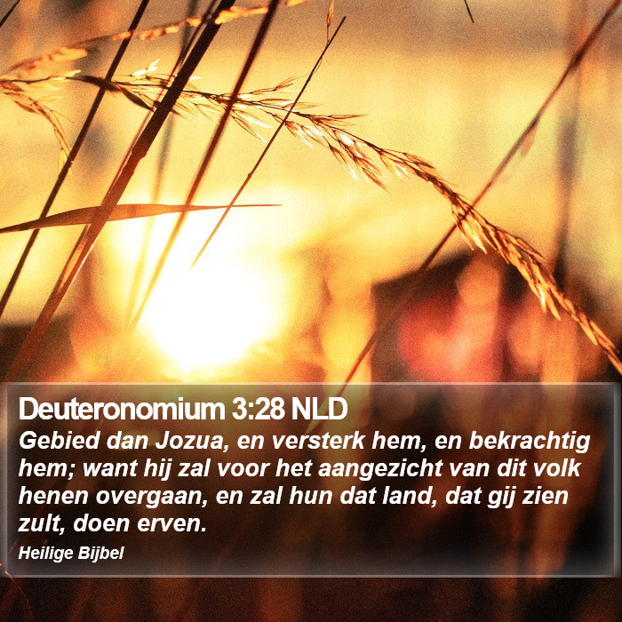 Deuteronomium 3:28 NLD Bible Study