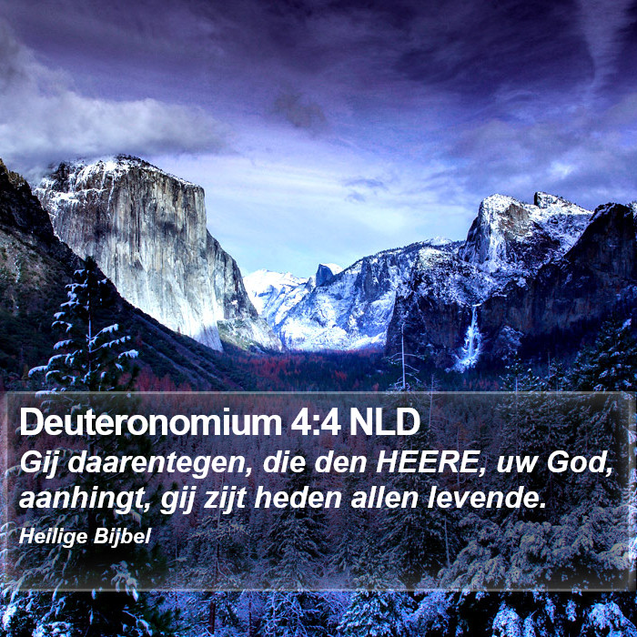 Deuteronomium 4:4 NLD Bible Study