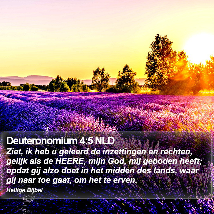 Deuteronomium 4:5 NLD Bible Study