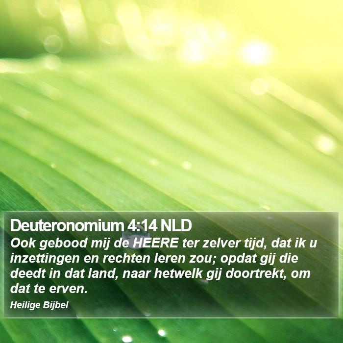 Deuteronomium 4:14 NLD Bible Study