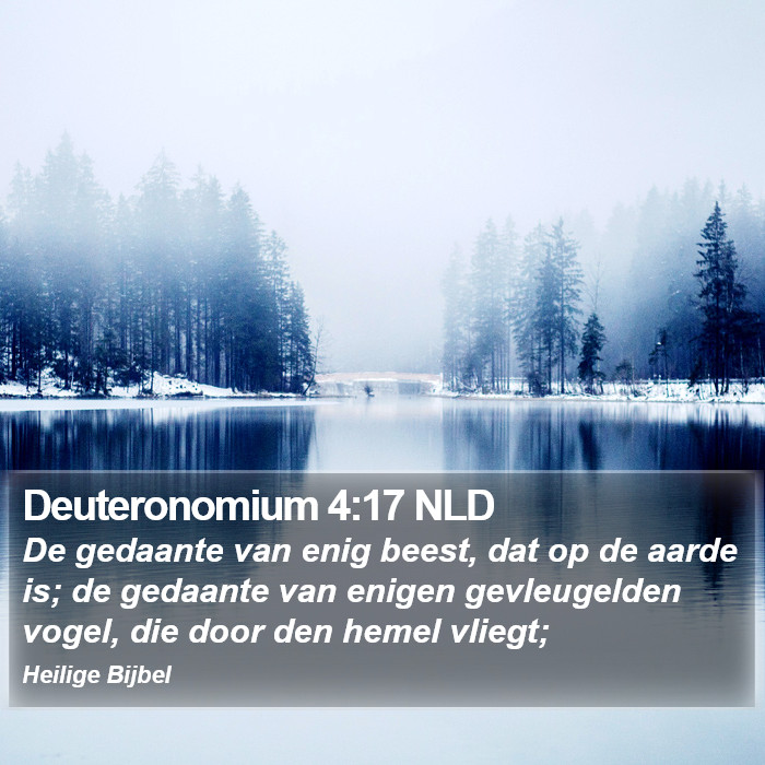 Deuteronomium 4:17 NLD Bible Study