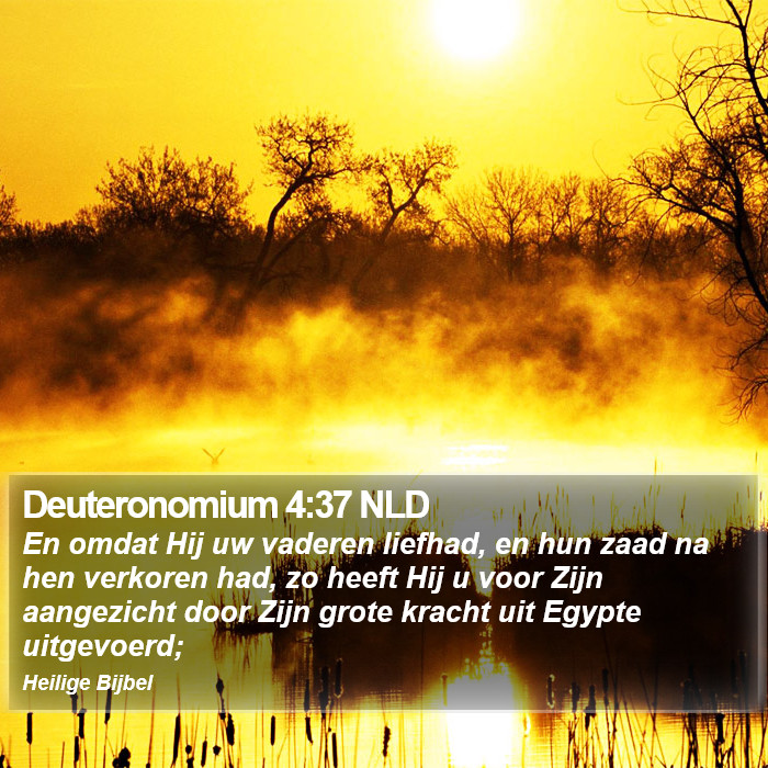 Deuteronomium 4:37 NLD Bible Study