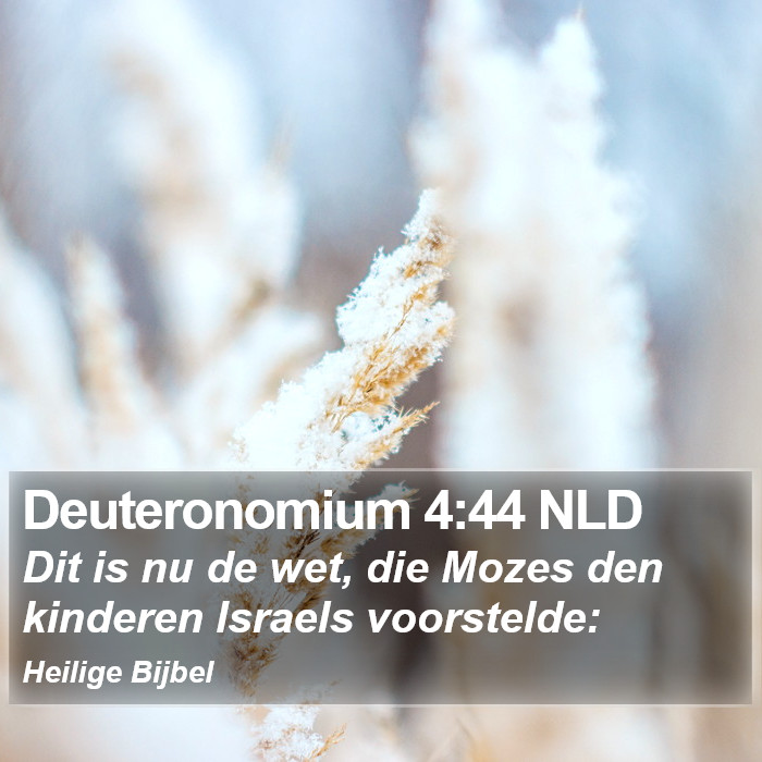 Deuteronomium 4:44 NLD Bible Study