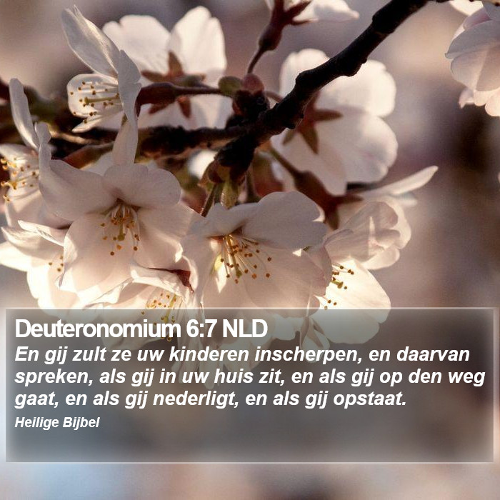 Deuteronomium 6:7 NLD Bible Study