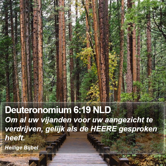 Deuteronomium 6:19 NLD Bible Study