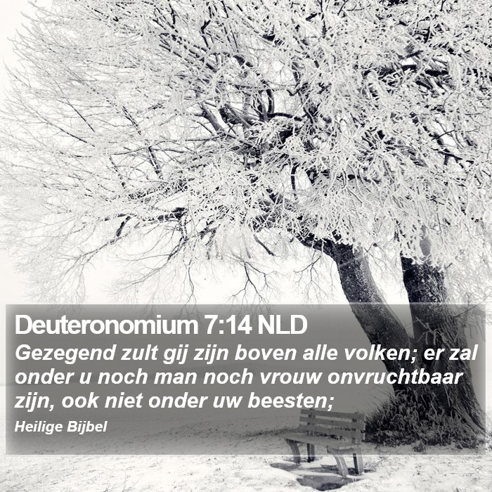Deuteronomium 7:14 NLD Bible Study