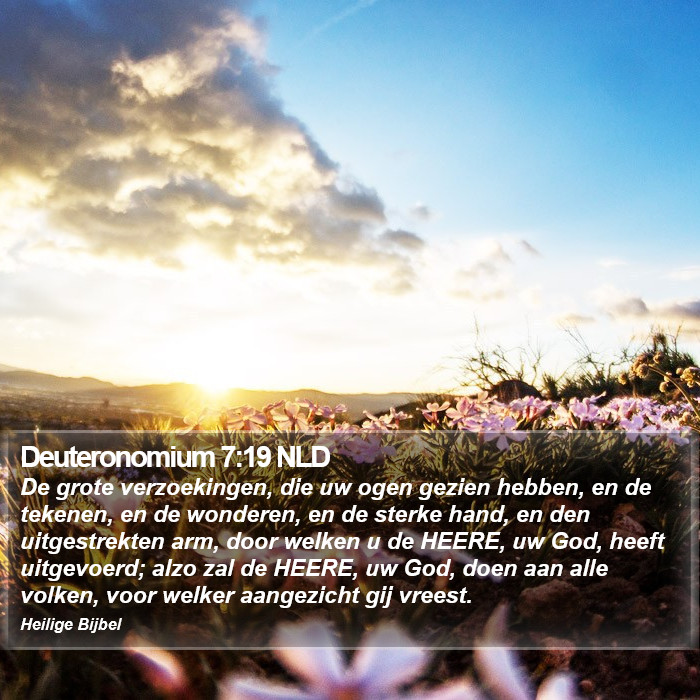 Deuteronomium 7:19 NLD Bible Study