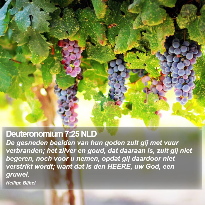 Deuteronomium 7:25 NLD Bible Study