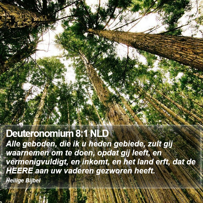 Deuteronomium 8:1 NLD Bible Study