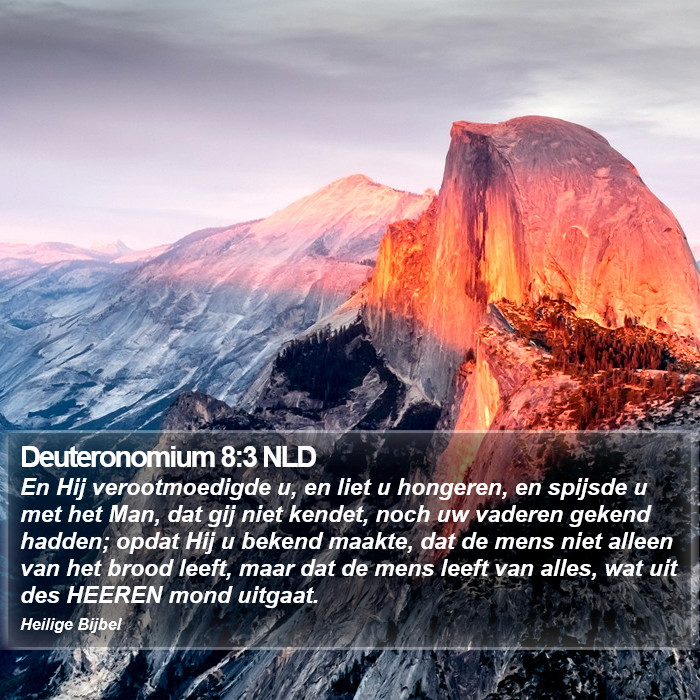 Deuteronomium 8:3 NLD Bible Study