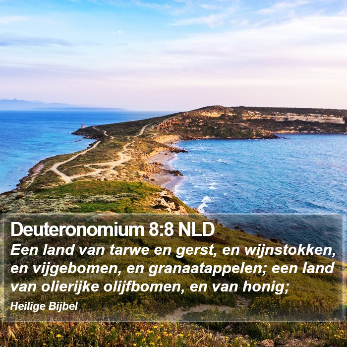 Deuteronomium 8:8 NLD Bible Study