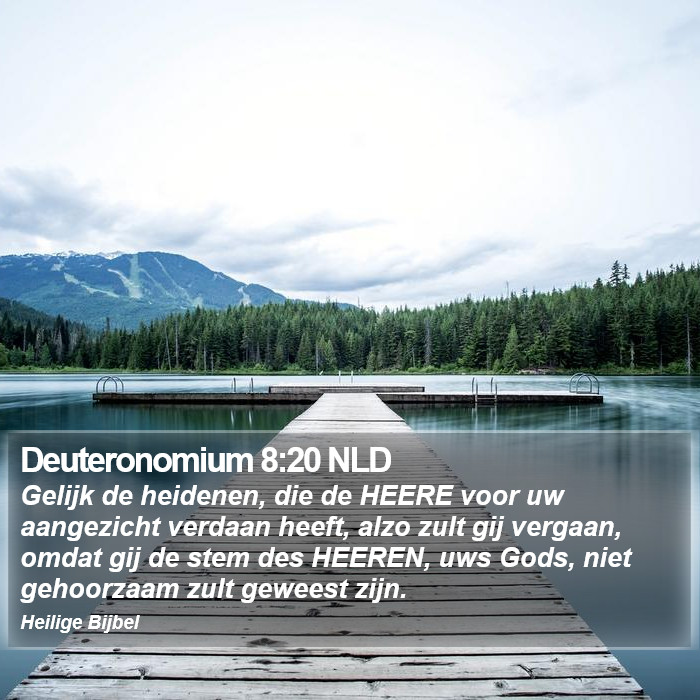 Deuteronomium 8:20 NLD Bible Study