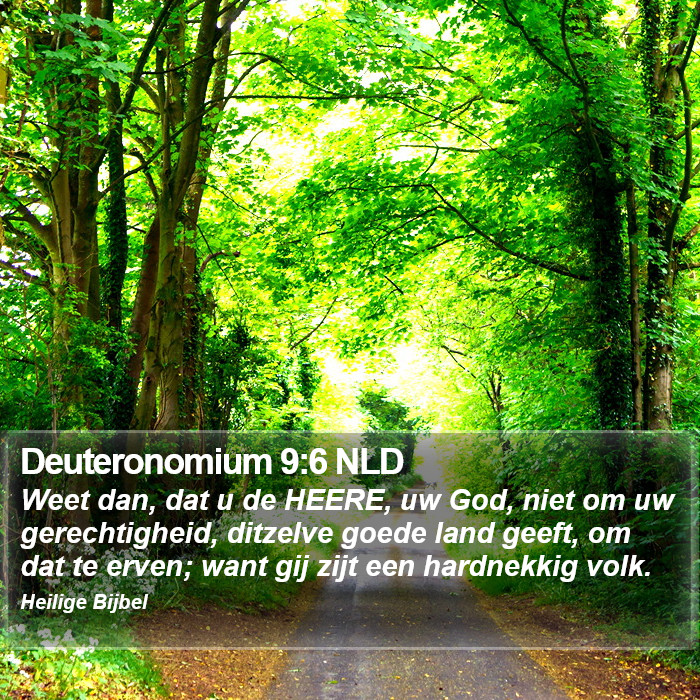 Deuteronomium 9:6 NLD Bible Study