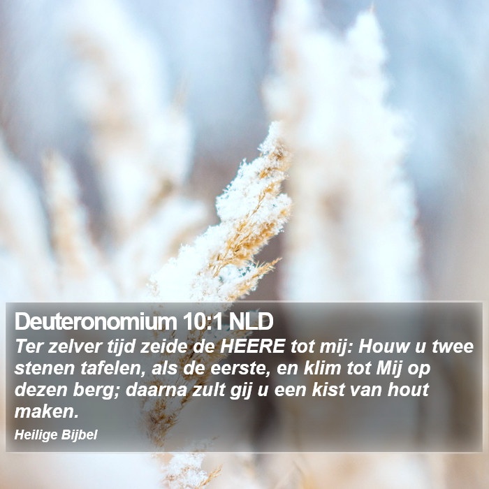 Deuteronomium 10:1 NLD Bible Study
