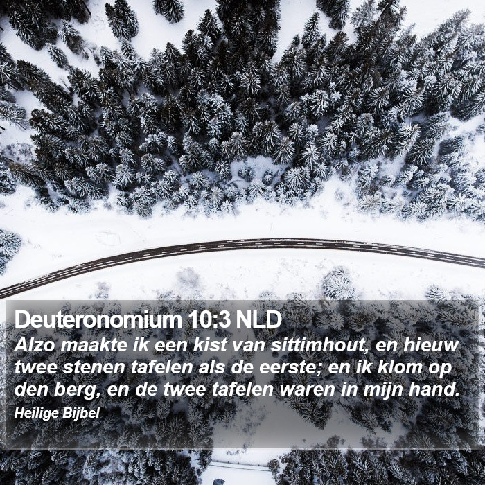 Deuteronomium 10:3 NLD Bible Study